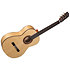 Flamenco N300F Altamira