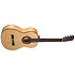 Flamenco N300F Altamira