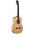 Flamenco N300F Altamira