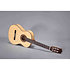 Flamenco N300F Altamira