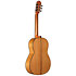 Flamenco N700F + Étui Altamira