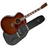 ST30 MJ Havana Burst Element + Housse Norman