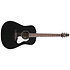 S6 Classic Black A/E Seagull