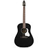 S6 Classic Black A/E Seagull
