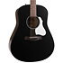 S6 Classic Black A/E Seagull