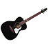 Artist Ltd Tuxedo BK EQ + housse Seagull