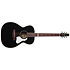 Artist Ltd Tuxedo BK EQ + housse Seagull