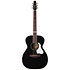 Artist Ltd Tuxedo BK EQ + housse Seagull