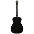 Artist Ltd Tuxedo BK EQ + housse Seagull