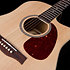 Coastline Spruce Slim CW Presys II Seagull