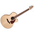 Performer MJ CW Flame Maple Presys II + housse Seagull