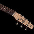 Performer MJ CW Flame Maple Presys II + housse Seagull