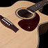 Performer MJ CW Flame Maple Presys II + housse Seagull
