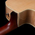 Performer MJ CW Flame Maple Presys II + housse Seagull
