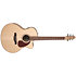 Performer MJ CW Flame Maple Presys II + housse Seagull