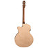 Performer MJ CW Flame Maple Presys II + housse Seagull