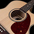 Performer MJ CW Flame Maple Presys II + housse Seagull