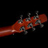 Performer MJ CW Flame Maple Presys II + housse Seagull