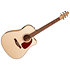 Performer CW Flame Maple Presys II + housse Seagull
