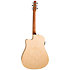 Performer CW Flame Maple Presys II + housse Seagull