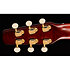 Performer CH CW Burst Umber Presys II + housse Seagull