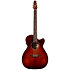 Performer CH CW Burst Umber Presys II + housse Seagull