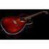 Performer CH CW Burst Umber Presys II + housse Seagull
