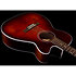 Performer CH CW Burst Umber Presys II + housse Seagull