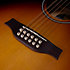 S12 Sunburst CH CW GT Presys II Seagull