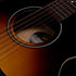 S12 Sunburst CH CW GT Presys II + housse Seagull