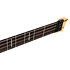 M6 Headless 4 Cordes Surf Green Metallic Satin Marcus Miller