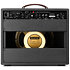 D25 1x12" Combo Joey Landreth Edition Black REVV Amplification