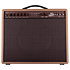 D25 1x12" Combo Joey Landreth Limited Edition Brown Face REVV Amplification