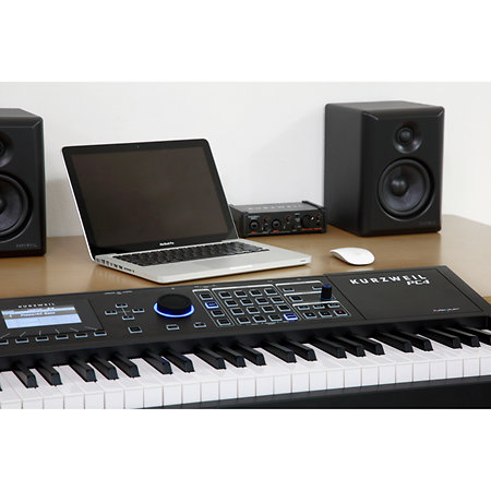 PC4 Kurzweil