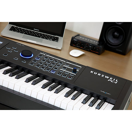PC4 Kurzweil