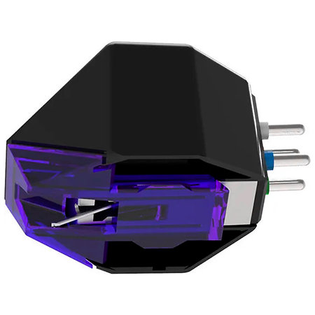 E3 goldring