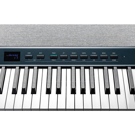 KA-P1 KB Dark Blue Kurzweil