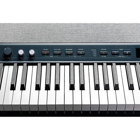 KA-P1 KB Dark Blue Kurzweil