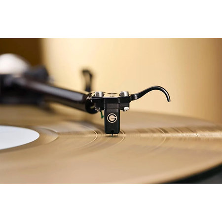 Eroica HX goldring