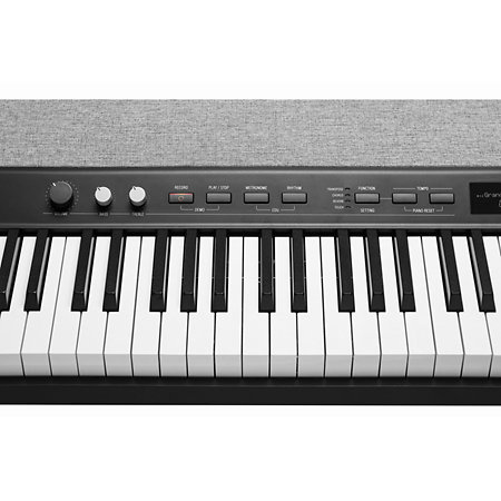 KA-P1 LB Black Kurzweil