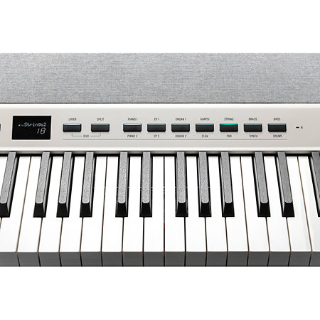 KA-P1 WH White Kurzweil