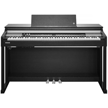 CUP-P1 SR Rosewood Kurzweil