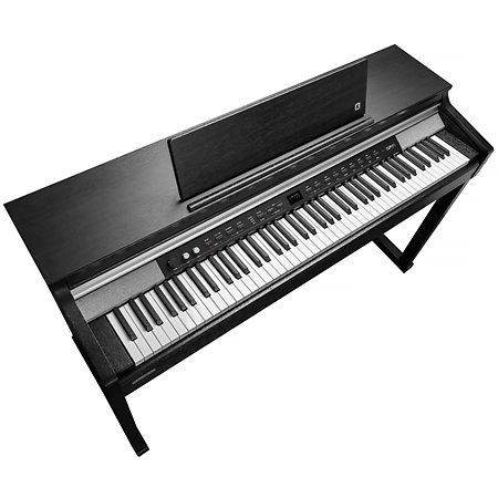 CUP-P1 SR Rosewood Kurzweil