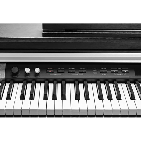 CUP-P1 SR Rosewood Kurzweil