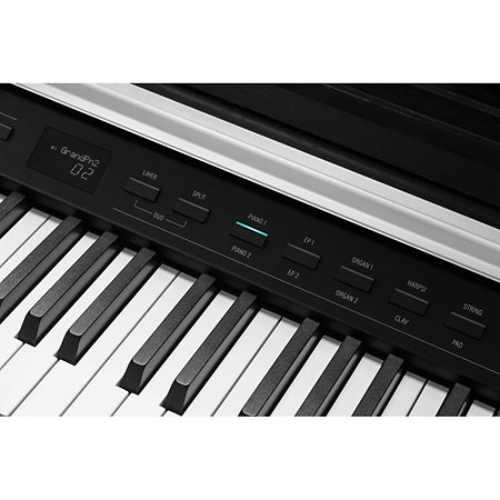 CUP-P1 SR Rosewood Kurzweil