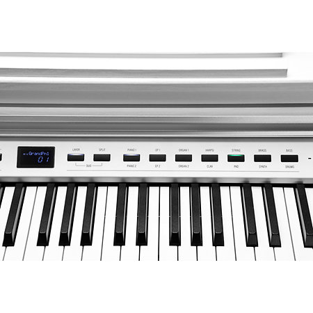 CUP-P1 WH White Kurzweil