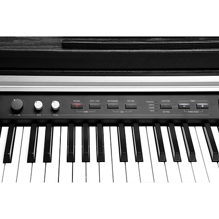 CUP-P1 BK Black Satin Kurzweil