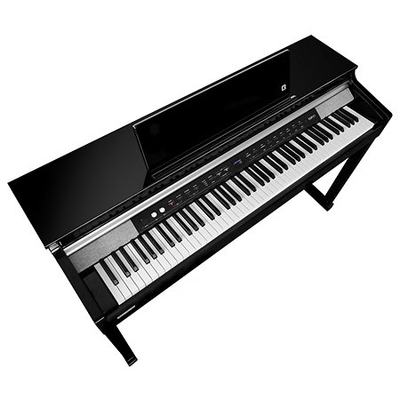 CUP-P1 BP Black Polish Kurzweil