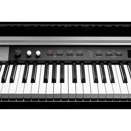 CUP-P1 BP Black Polish Kurzweil