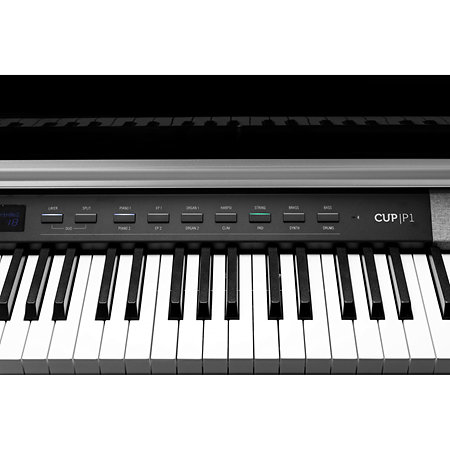 CUP-P1 BP Black Polish Kurzweil